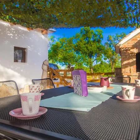 Luxury House Ivan With 4 Bedrooms Divojevici