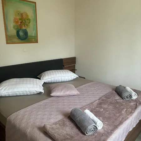 Luxury House Ivan With 4 Bedrooms Divojevici