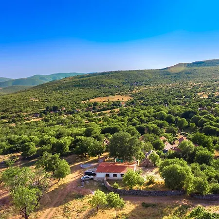 Luxury House Ivan With 4 Bedrooms Holiday home