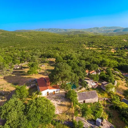 Luxury House Ivan With 4 Bedrooms Divojevici