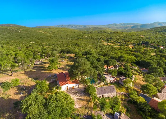 Luxury House Ivan With 4 Bedrooms Divojevici